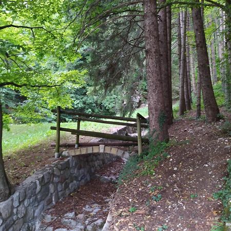 Arche Verzegnis - Unita Abitativa Ammobiliata Ad Uso Turistico Chiaicis Exterior foto