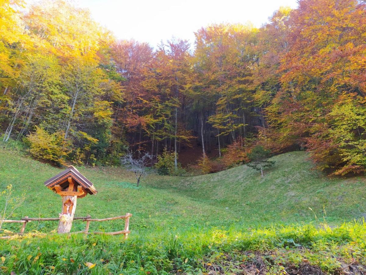 Arche Verzegnis - Unita Abitativa Ammobiliata Ad Uso Turistico Chiaicis Exterior foto